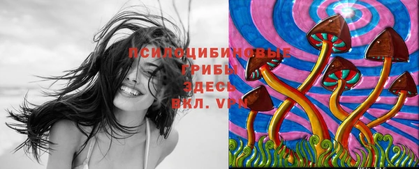 мдма Белокуриха